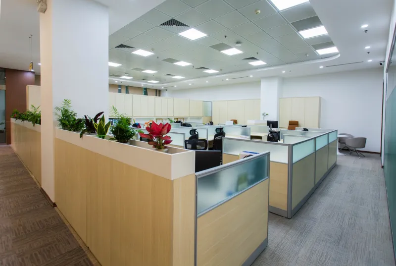 Soundscaping the Office: Why Forward-Thinking Companies Are Replacing Spotify With AI-Generated Ambience