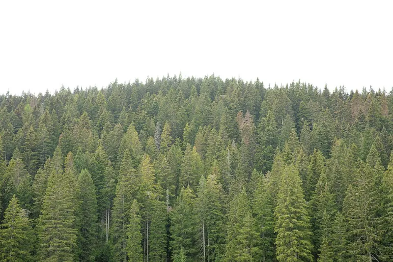 The Last Quiet Places: Inside the Fight to Save America's Natural Soundscapes